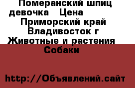 Померанский шпиц девочка › Цена ­ 45 000 - Приморский край, Владивосток г. Животные и растения » Собаки   
